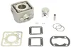A set of engine cylinder components, including the cylinder block, piston, rings, and gaskets, laid out on a white background. Anteprima dell’immagine prodotto