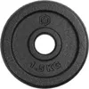 Sporttrend 24® Hantelscheiben 0,5-25kg Gusseisen 30/31mm, Produktbild-Vorschau 1