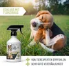 REAVET Anti Flohspray für Hunde 500ml – Flohmittel Hund bei Produktbild-Vorschau 5