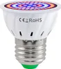 A close-up studio shot of a white LED grow light bulb with a silver screw base and a green tip. Produktbild-Vorschau