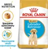 Royal Canin Labrador Retriever Puppy 12kg Produktbild-Vorschau 3