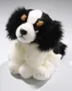 Carl Dick Cavalier King Charles Spaniel seduto circa 22 cm Anteprima dell’immagine prodotto 8