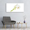 Glasbilder 120x60 Wandbild Druck auf Glas Blumen Pflanzen Produktbild-Vorschau 3