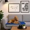 lionto Tapis réfrigérant, rafraîchissement agréable pour Voir les images du produit 2
