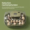 Brutautomat Vollautomatisch für 24 Eier – Mit automatischer Produktbild-Vorschau 5