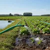 Tuyau plat en PVC 1" AGRO-FLAT 50 m Voir les images du produit 5