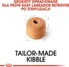 Royal Canin Labrador Adult Sterilised 12kg Voir les images du produit 5