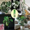 Flüssigdünger Spray für Monstera pflanzen Blätter mit 16 Produktbild-Vorschau 3