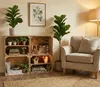 A cozy living room scene with wooden crates used as shelving, displaying various decorative items and plants, next to an armchair and a floor lamp. Náhled obrázku produktu