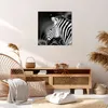 Bild auf Leinwand - Leinwandbild - Tier Zebra Streifen - Produktbild-Vorschau 7