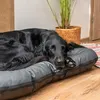 A black dog is sleeping on a gray dog bed in a room with wooden floors and a plant in a basket. Produktbild-Vorschau