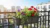 Plastard selbstwässernd Blumenkasten 100 cm Anthrazit Produktbild-Vorschau 6