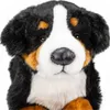 A close-up studio shot of a plush Bernese Mountain Dog toy. Podgląd zdjęcia produktu