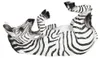 Clayre & Eef Wijnrek Zebra, 32x12x18 cm, zwart, kunststof Productafbeelding-voorbeeld 1