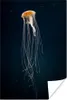 MuchoWow® Poster Qualle - Meerestier - Tentakel 60x90 cm - Produktbild-Vorschau 1