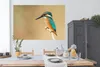 MuchoWow® Poster Eisvogel - Tiere - Vogel 180x120 cm - Produktbild-Vorschau 3