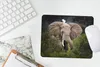 MuchoWow® Mauspad Mousepad Elefant - Reiher - Pflanze 23x19 Produktbild-Vorschau 6