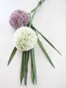 EUROPALMS List orchideje (EVA), umělý, zelený, 45 cm Náhled obrázku produktu 4
