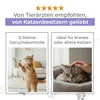 A collage of two images, one showing a cat standing and the other showing a cat being petted, with marketing text overlayed. Anteprima dell’immagine prodotto