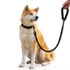 Hundehalsband und Elastische Hundeleine Set, 1,2m, Produktbild-Vorschau 2