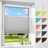 A window with a gray pleated blind, showing a view of a grassy field and blue sky with clouds. Decorative green vases and a green apple are on the windowsill. Produktbild-Vorschau