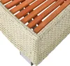 Polyrattan Whirlpooltreppe Spa Trittstufe Stufe Einstieg  Produktbild-Vorschau 8