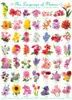 1000 Teile Puzzle Sag's in der Sprache der Blumen Produktbild-Vorschau 2