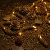 Fata LED decorativa corda 25 LED 2m indoor bianco caldo Anteprima dell’immagine prodotto 2