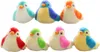 ak tronic Software & Services Birdies Produktbild-Vorschau 2