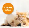 Ardap Spray antipulci da applicare sull'animale 250 ml Anteprima dell’immagine prodotto 5