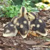 Dekofigur Gartenfigur Entenküken Produktbild-Vorschau 5
