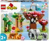 Divoké zvieratá Ázie Náhľad obrázku produktu 4