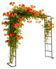 Relaxdays Rosenbogen, Metall, HxBxT: 220 x 200 x 38 cm, Produktbild-Vorschau 1