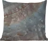 MuchoWow® Outdoor Kissen - Muscheln - Abstrakt - Natur - Produktbild-Vorschau 1
