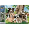 Norimpex Diamant Malerei Happy Dog Gruppe 30x40cm Produktbild-Vorschau 5