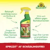 Neudorff Spruzit AF Schädlingsfrei 500ml Spray gegen Produktbild-Vorschau 2