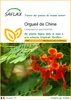 SAFLAX  - Orgueil de Chine - 10 graines - Caesalpinia Voir les images du produit 1