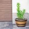 Kvetináč KADAX Barrelbloom 53 cm svetlohnedý Náhľad obrázku produktu 10