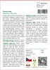 SAFLAX - sladký jetel - Melilotus officinalis - 250 Semena Náhled obrázku produktu 3