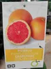 Citrus paradisi 'Star Ruby' 100-130 cm - Červený grapefruit Náhled obrázku produktu 1