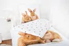 A bed with a duvet cover and pillowcase featuring a rabbit print, set in a bright bedroom. Anteprima dell’immagine prodotto