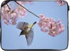 MuchoWow® Laptop Hülle 14 ZollKirschblüte und Vogel Produktbild-Vorschau 1