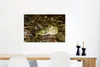 MuchoWow® Poster Quakender Frosch 90x60 cm - Schlafzimmer Produktbild-Vorschau 5