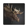 MuchoWow® Mauspad Mousepad Elch - Geweih - Porträt 20x20 cm Produktbild-Vorschau 1