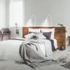 Lampe de lit LED BRILONER LEUCHTEN TUSO, 5 W, 400 lm, IP20, Voir les images du produit 3