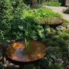 Two rusty metal bowls filled with water and plants are placed in a garden setting. Produktbild-Vorschau