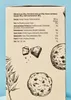 KoRo I Haferkeks mit Schokodrops | 12 x 200 g Produktbild-Vorschau 4