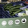 Cucumbers and fennel are displayed in blue crates, with marketing icons at the bottom. Produktbild-Vorschau