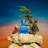 Hollister California Canyon Sky For Him EDT 100 ml M Voir les images du produit 8