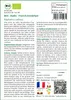 SAFLAX  -- Radis - French breakfast - 150 graines - Voir les images du produit 3